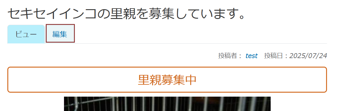 投稿した画面