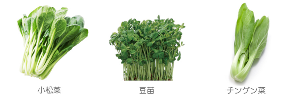 小松菜・豆苗・チンゲン菜