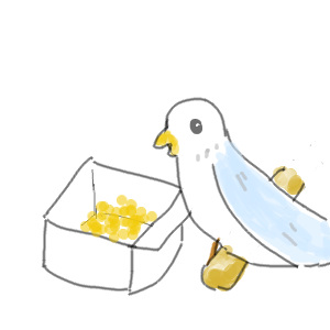 ひとり餌のインコ