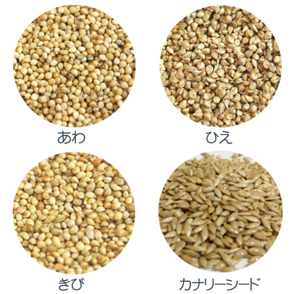 シード3種