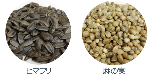 ヒマワリの種と麻の実