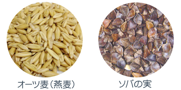 オーツ麦とソバの実
