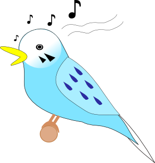 セキセイインコのオスはおしゃべり好き
