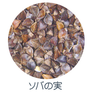 ソバの実
