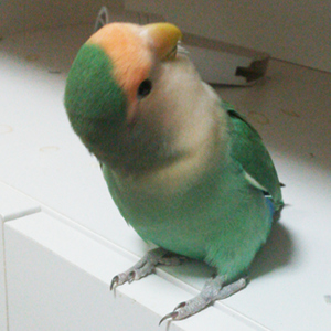 どこ見てるの