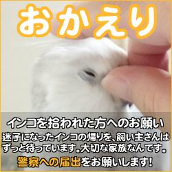 インコを保護された方へのお願い