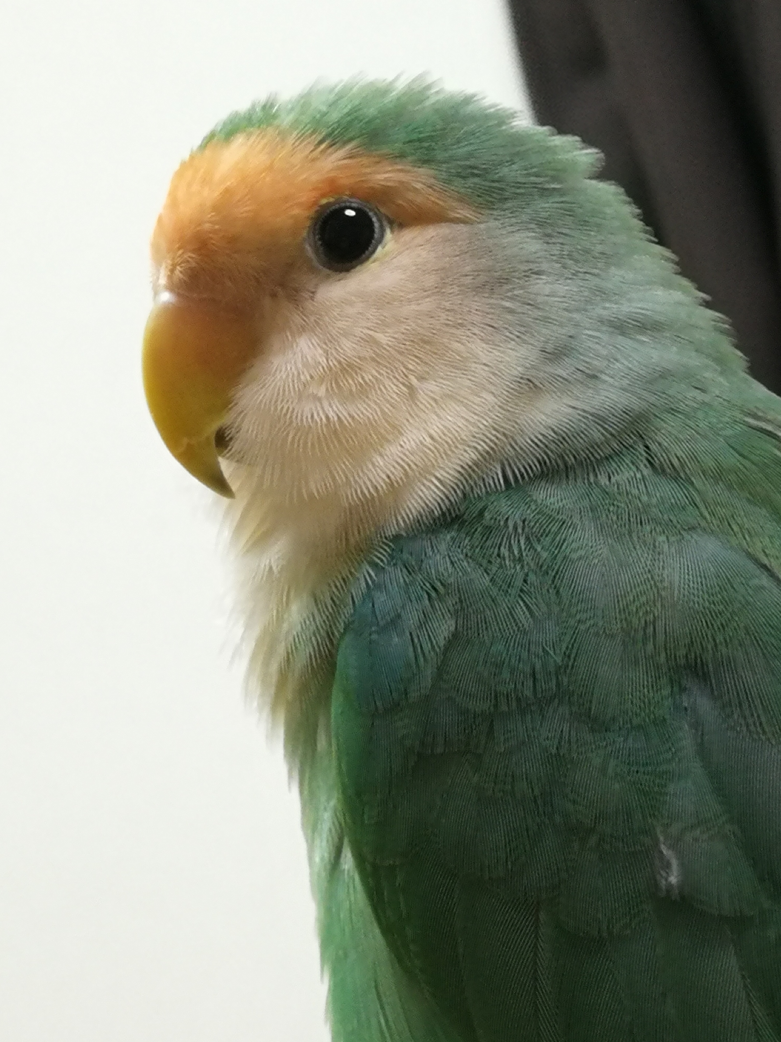ユーザーの写真