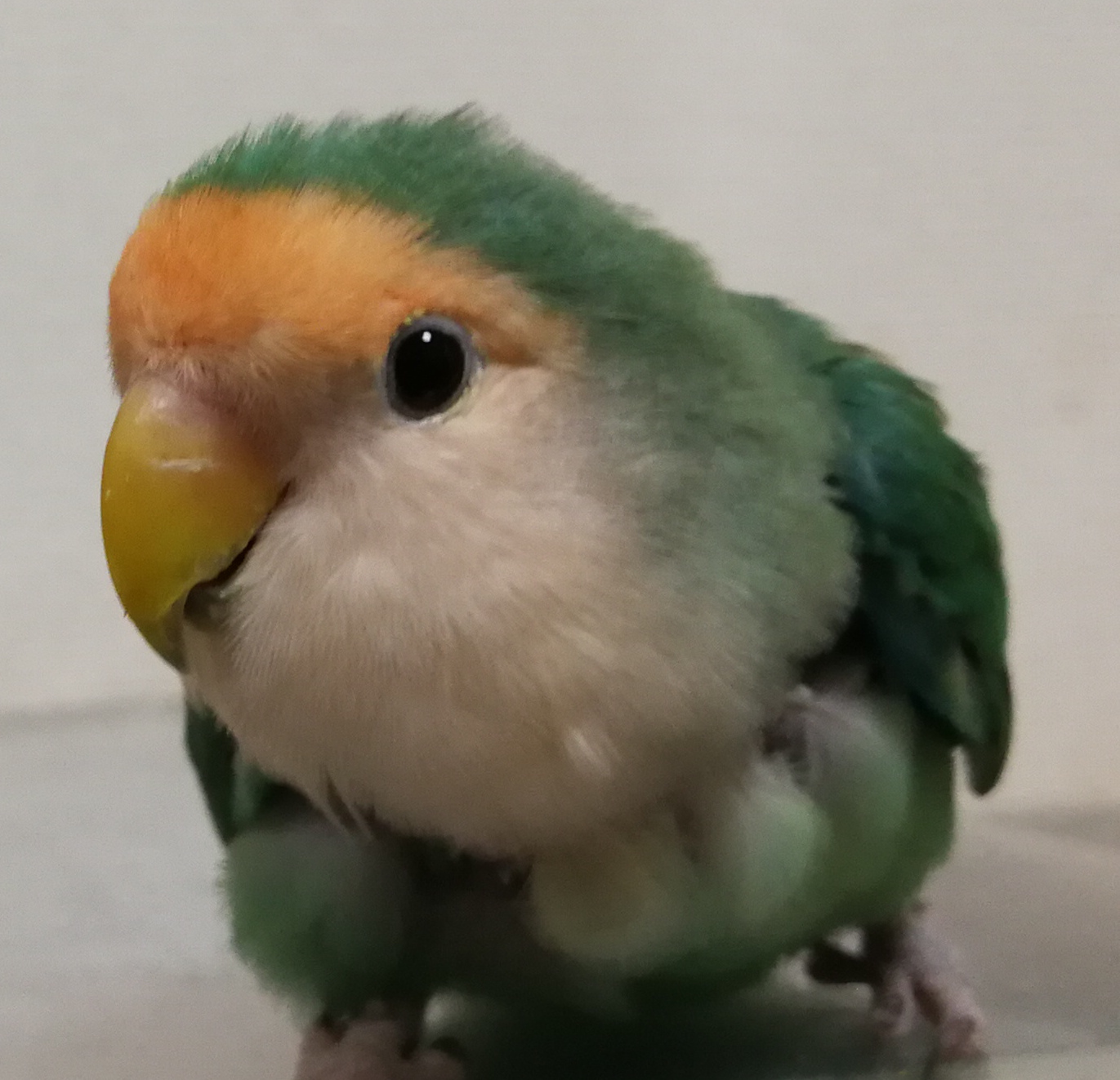 ユーザーの写真