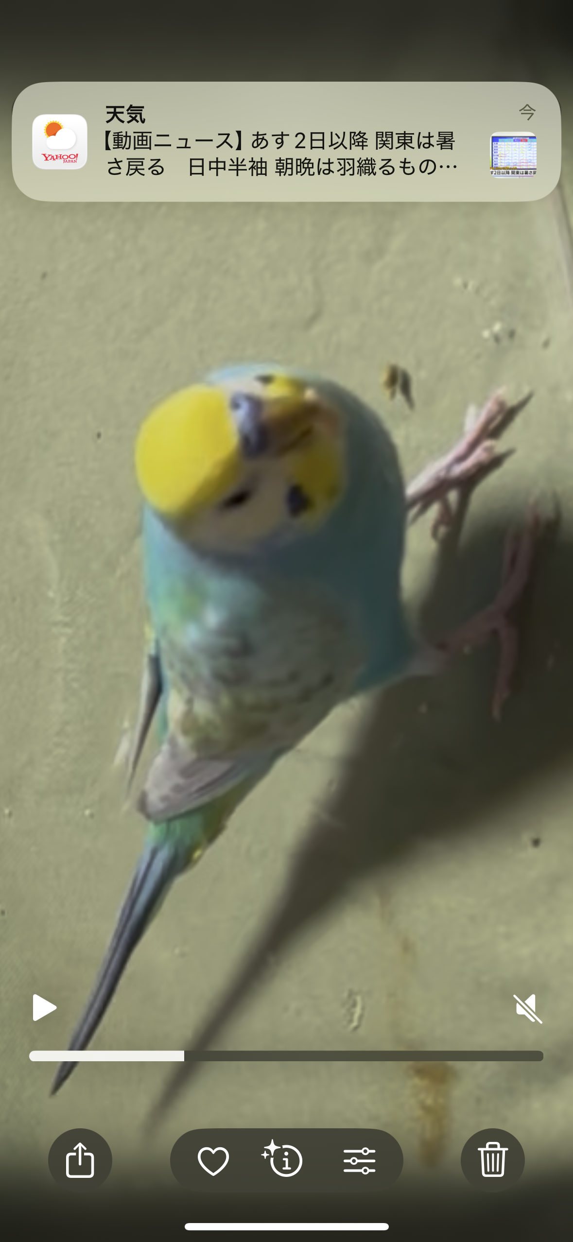 ユーザーの写真