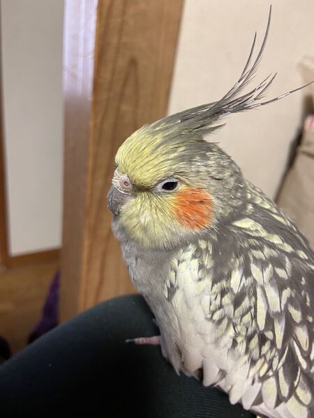 ユーザーの写真