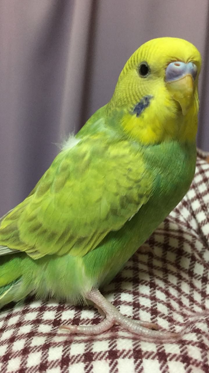 ユーザーの写真