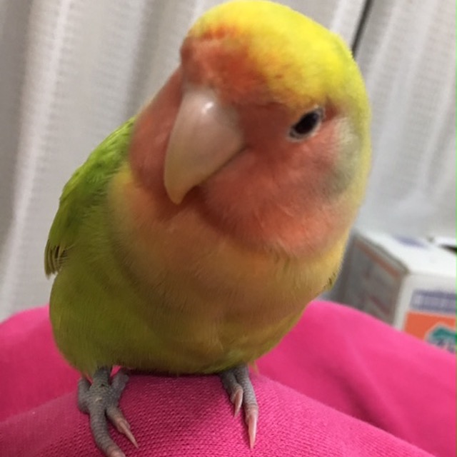 ユーザーの写真