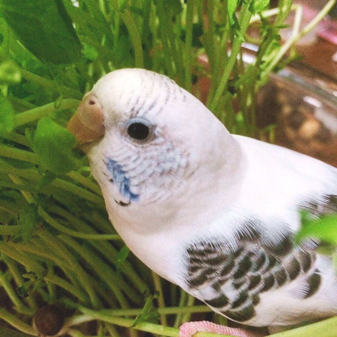 ユーザーの写真