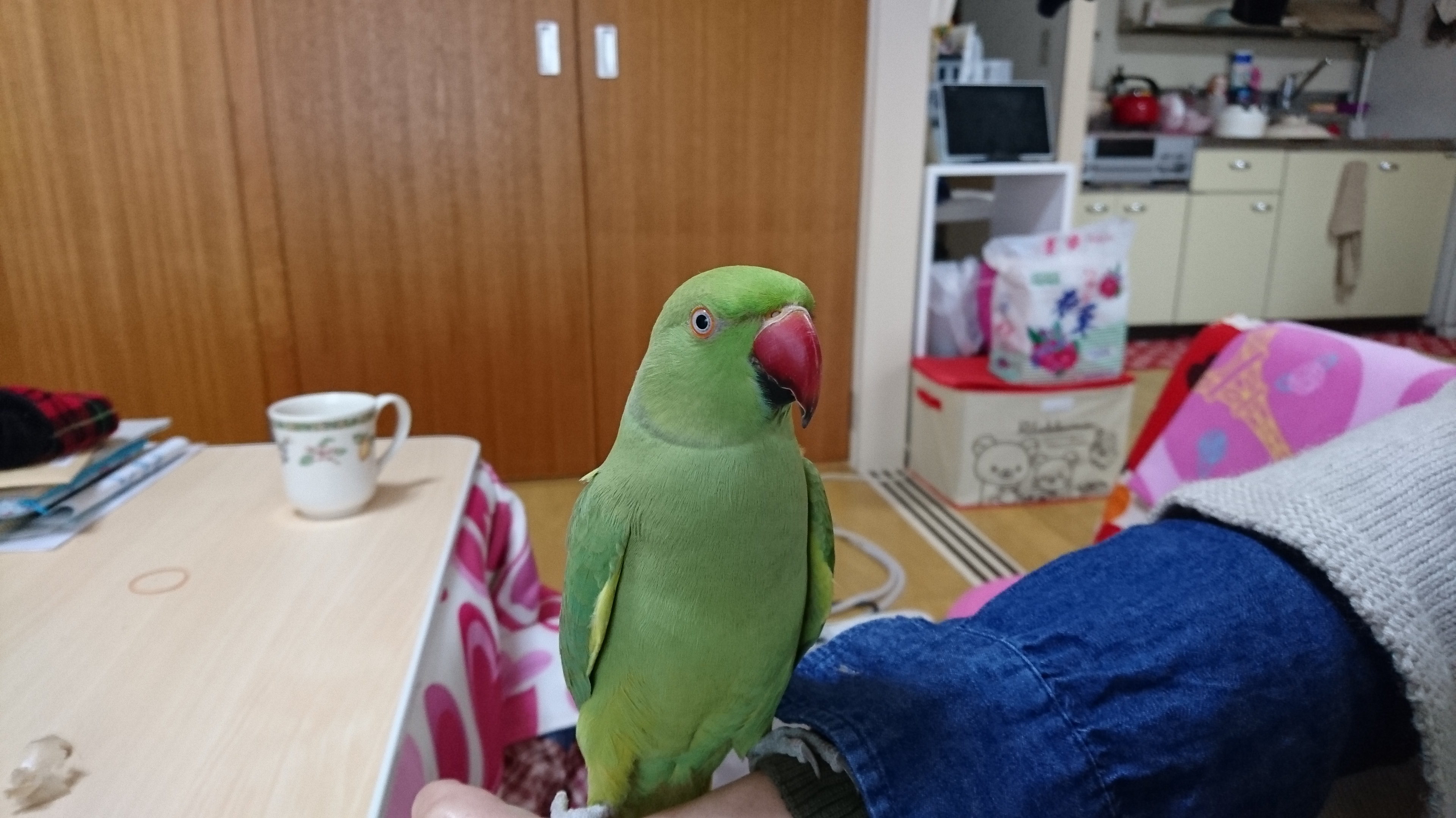 ユーザーの写真