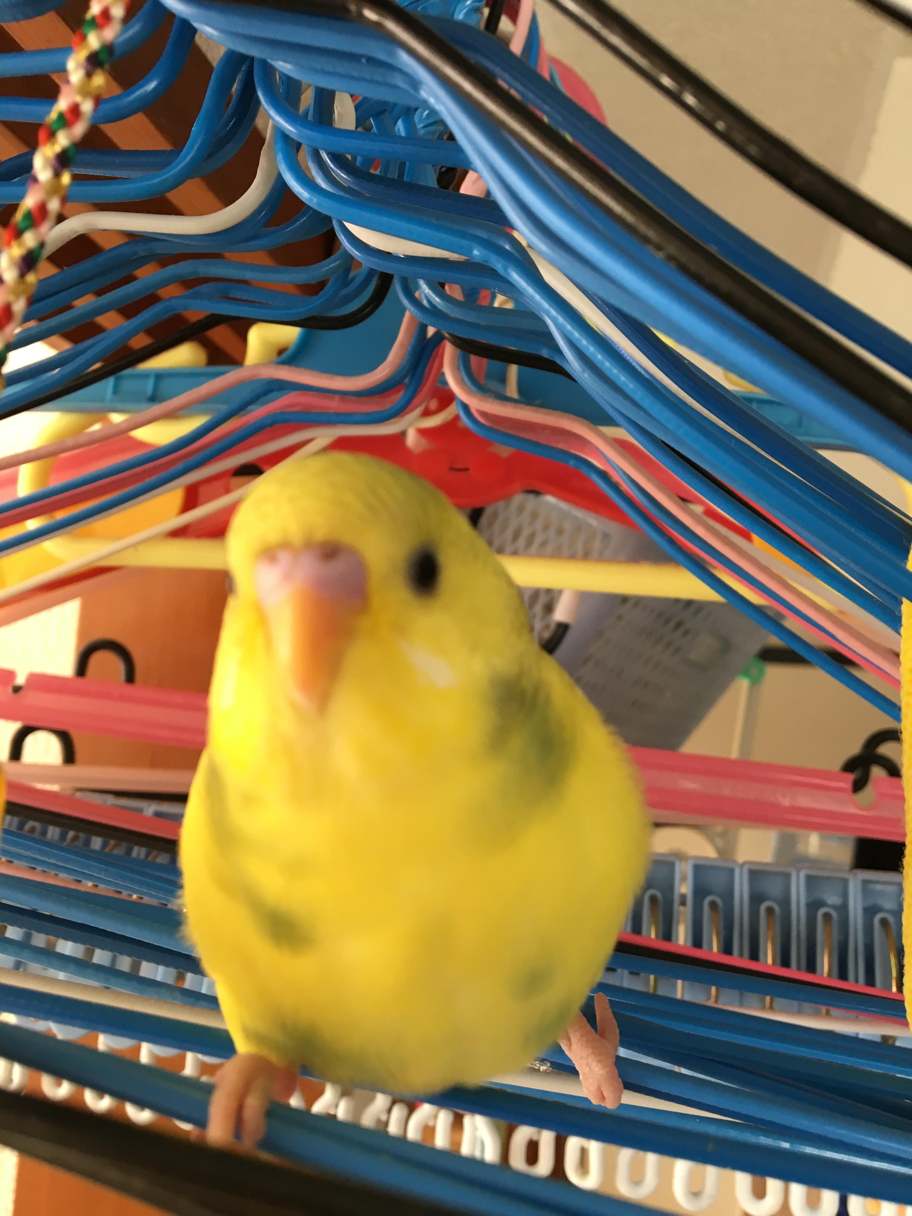 ユーザーの写真