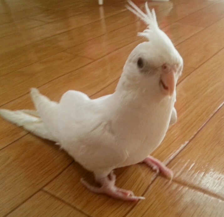 ユーザーの写真