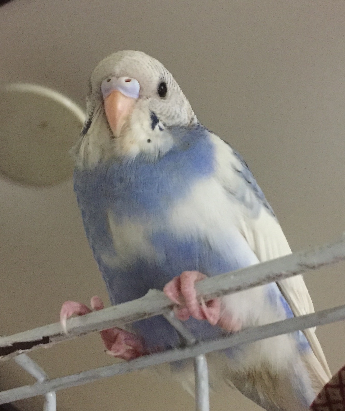 ユーザーの写真