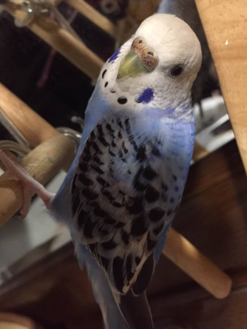 ユーザーの写真