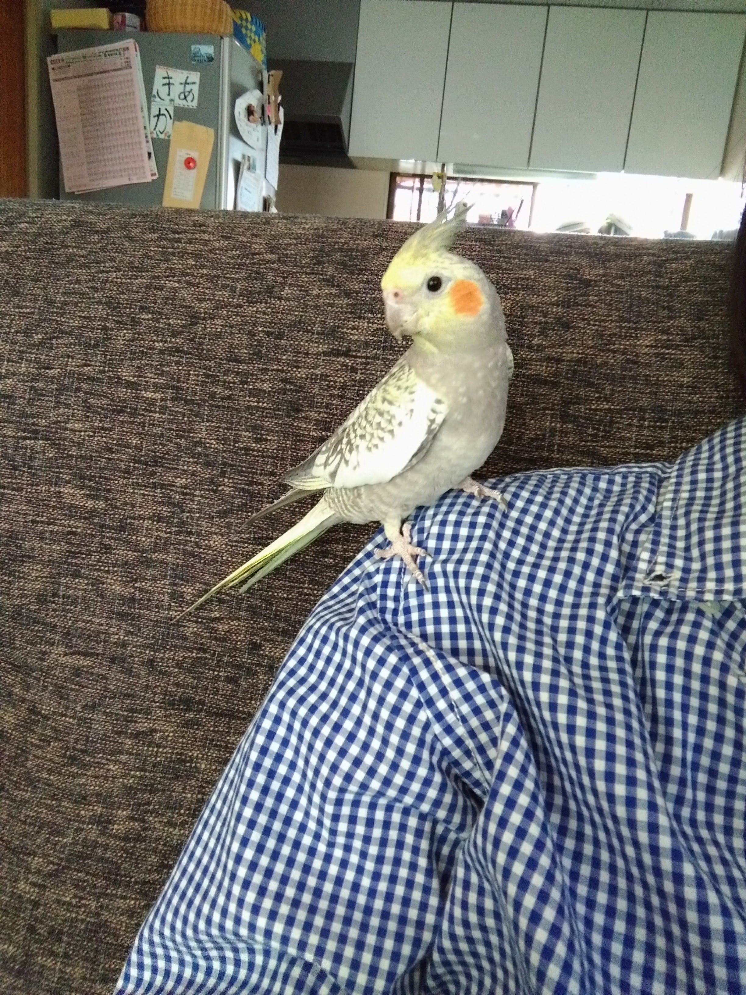 ユーザーの写真