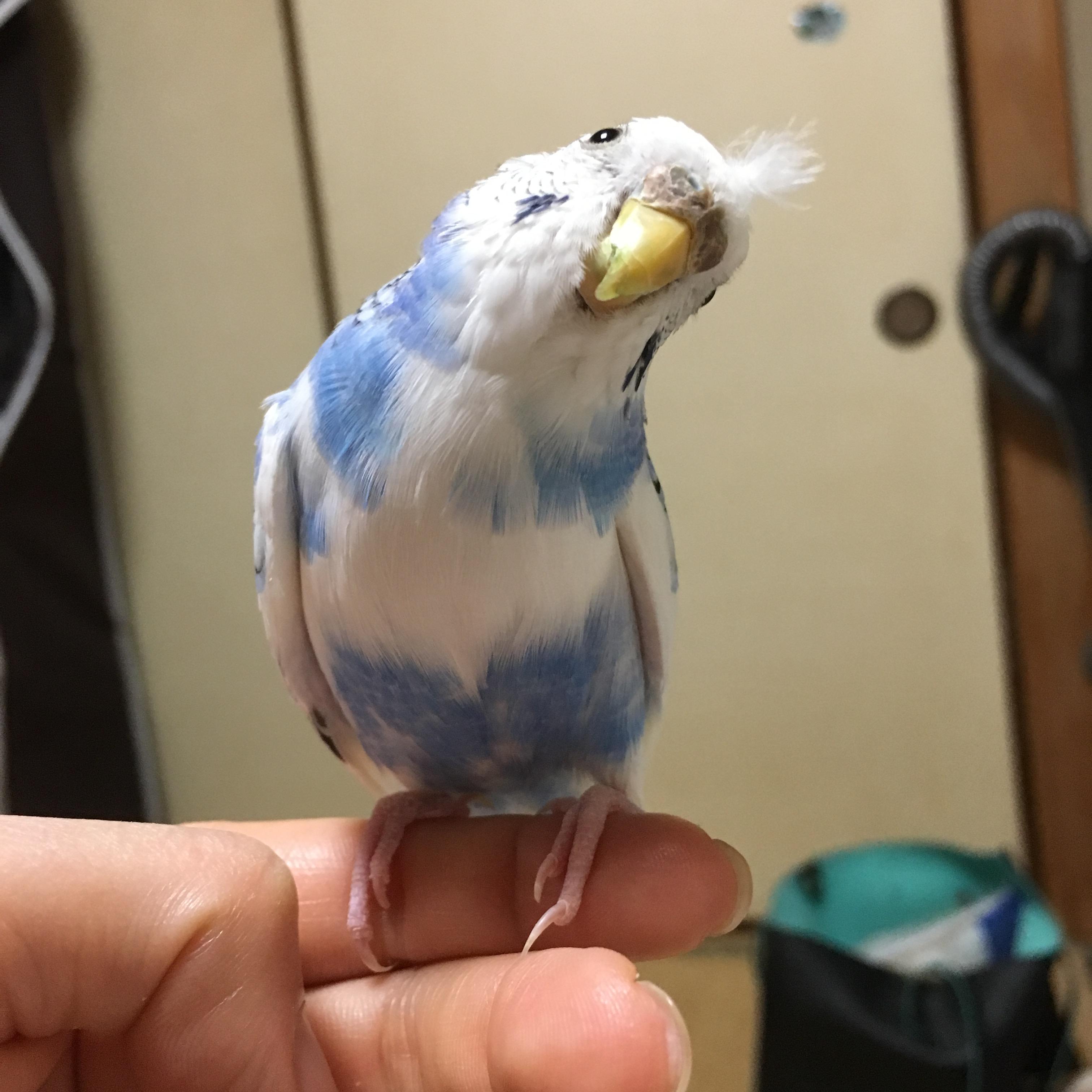 ユーザーの写真