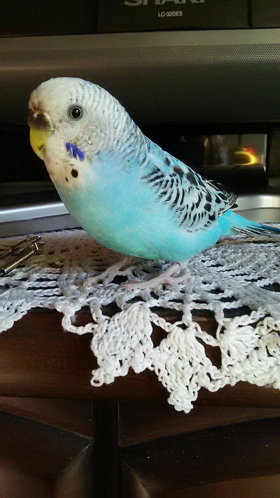 ユーザーの写真