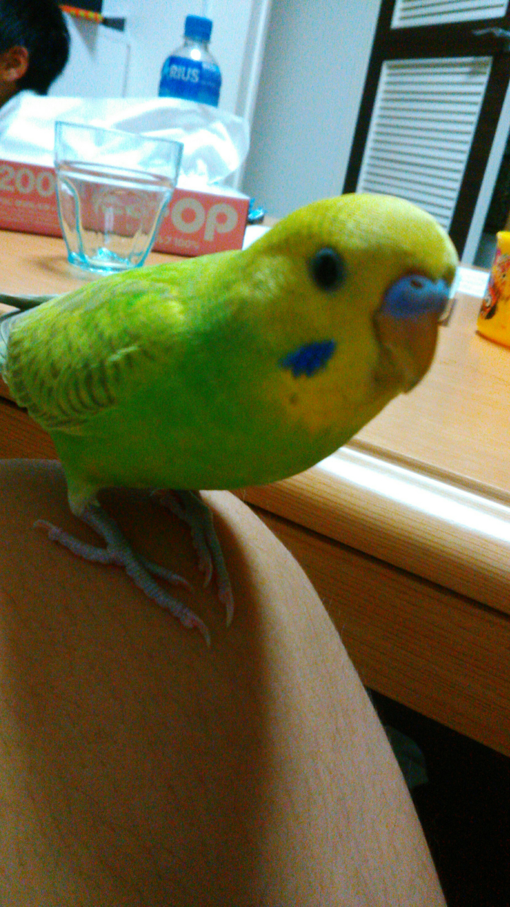 ユーザーの写真