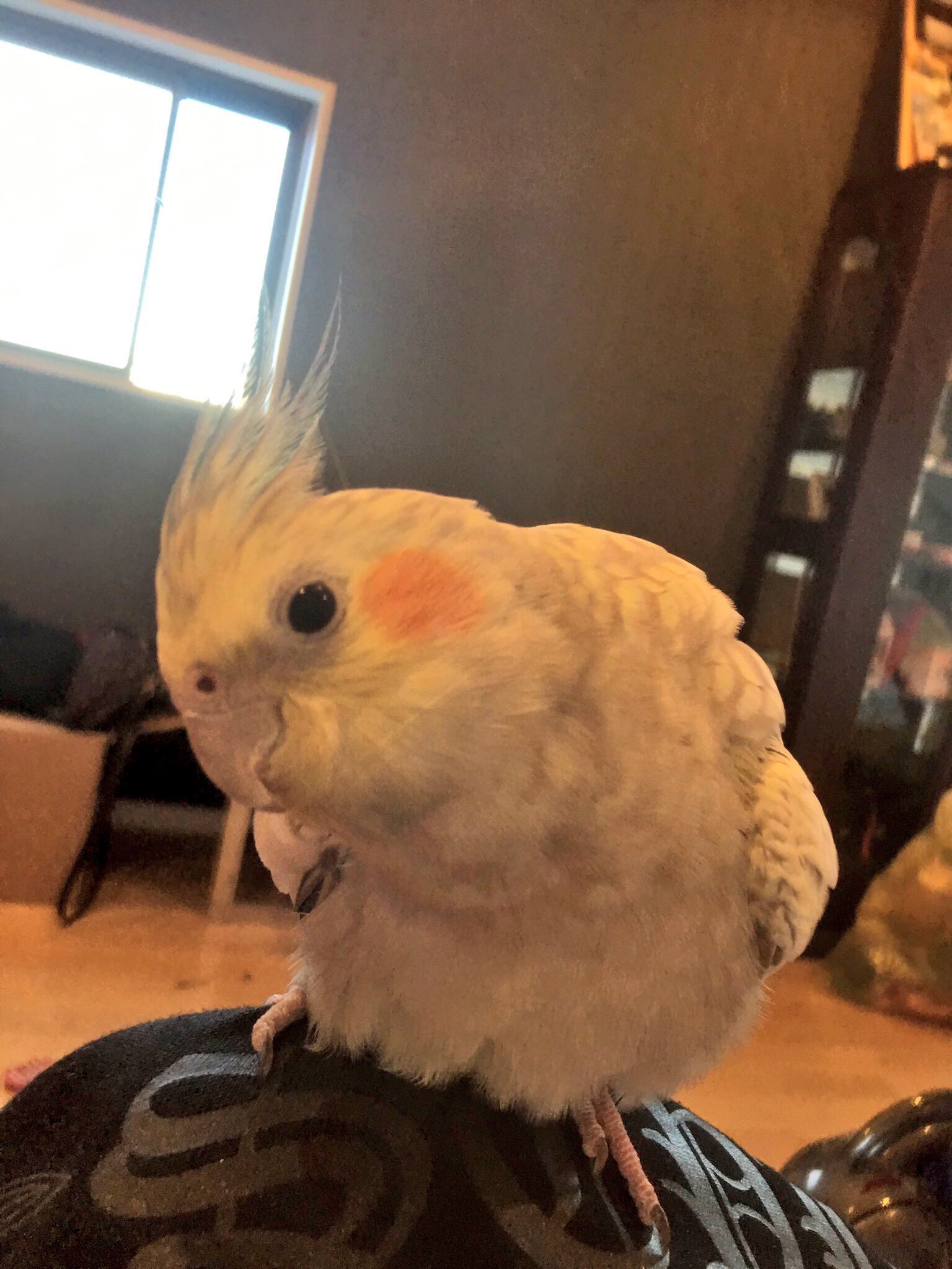 ユーザーの写真