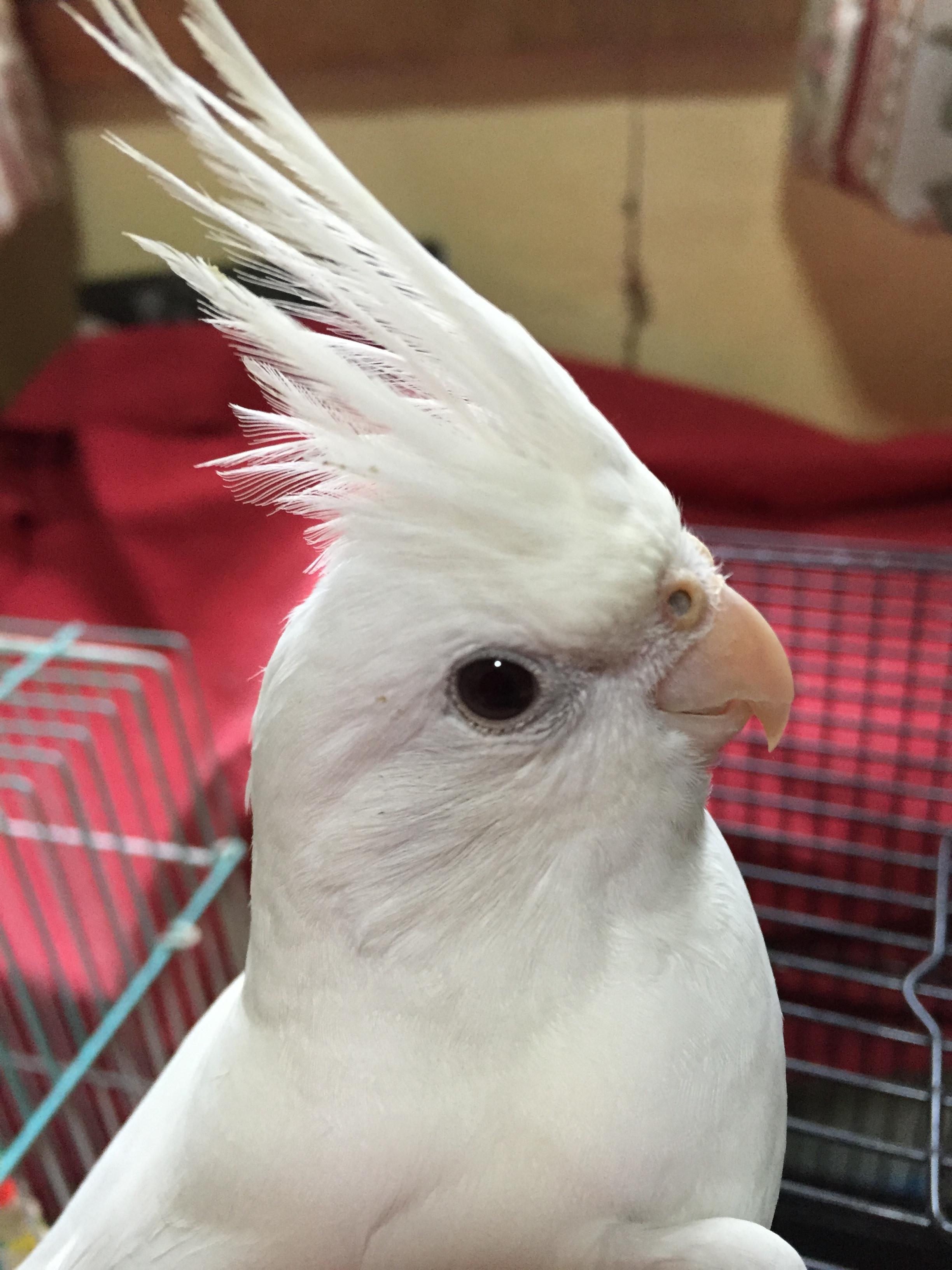ユーザーの写真