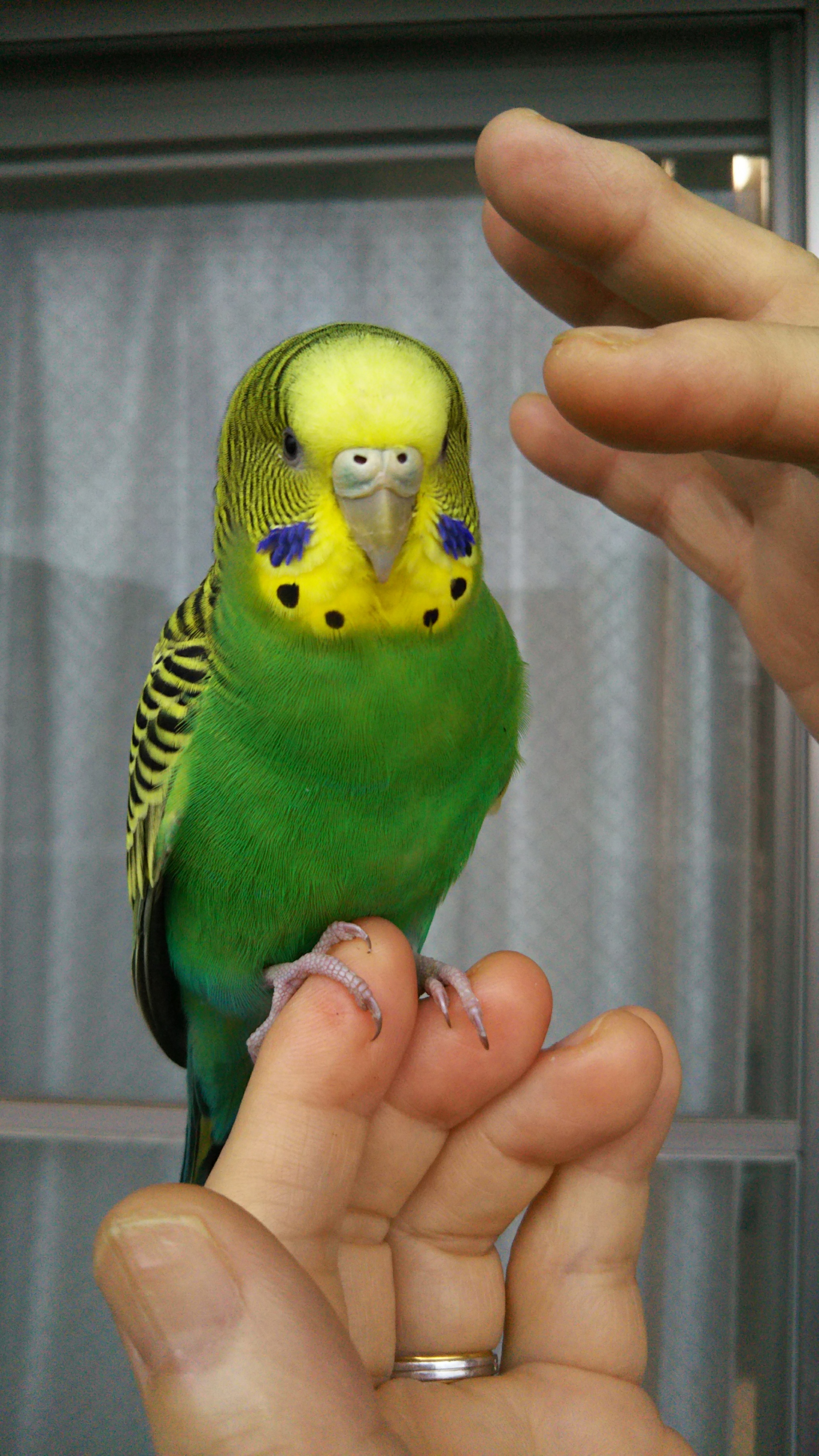 ユーザーの写真