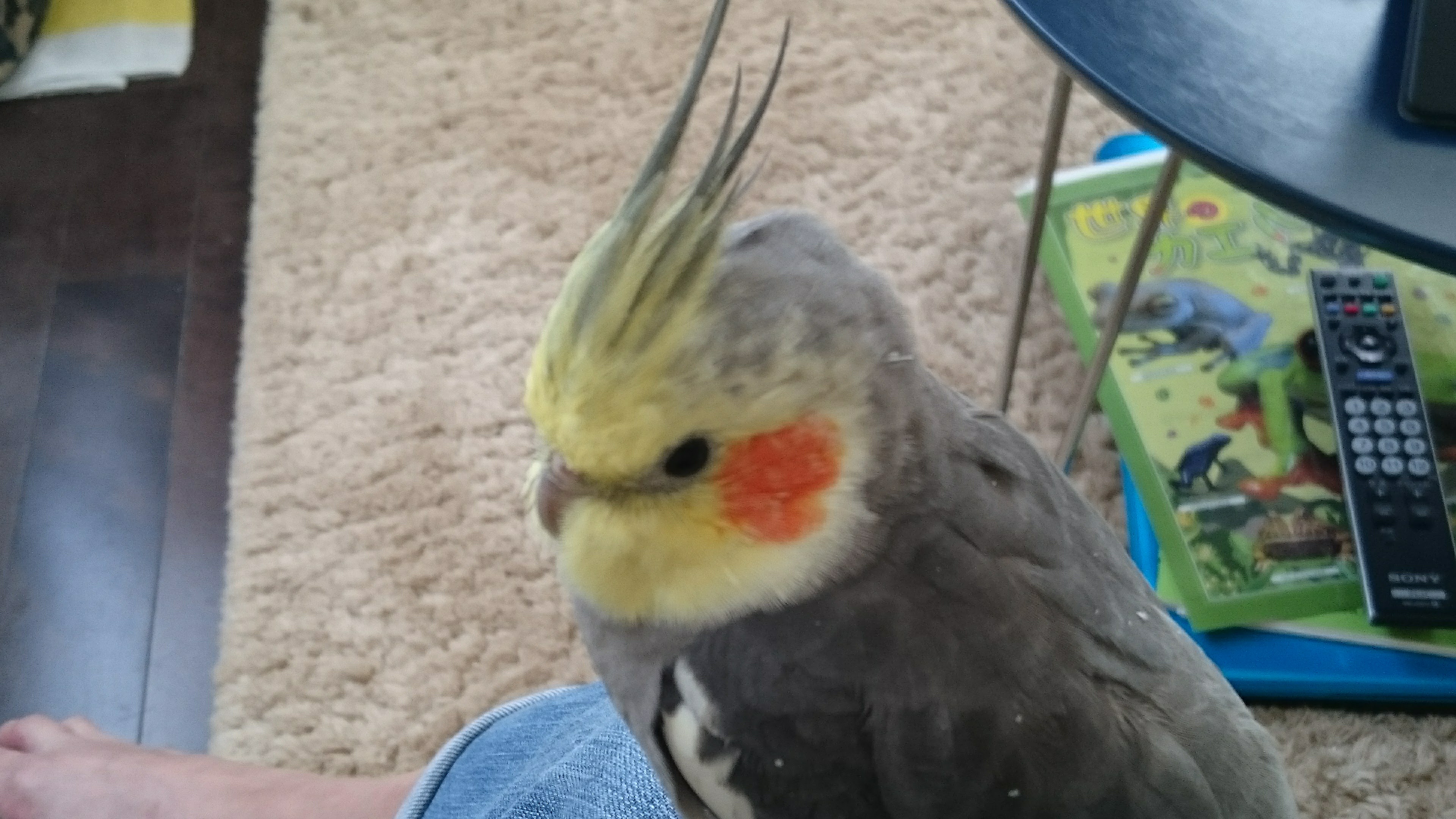 ユーザーの写真