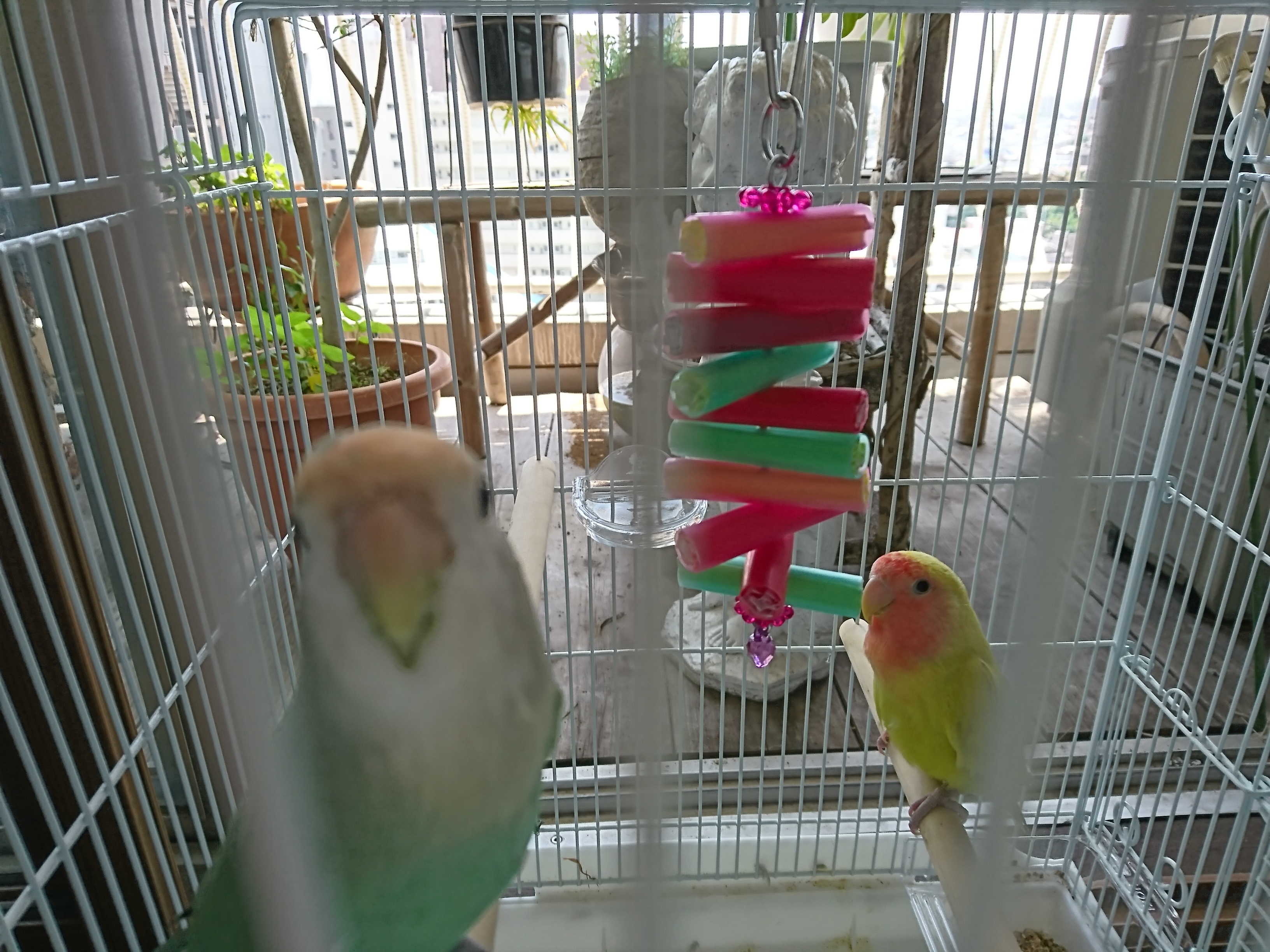 ユーザーの写真
