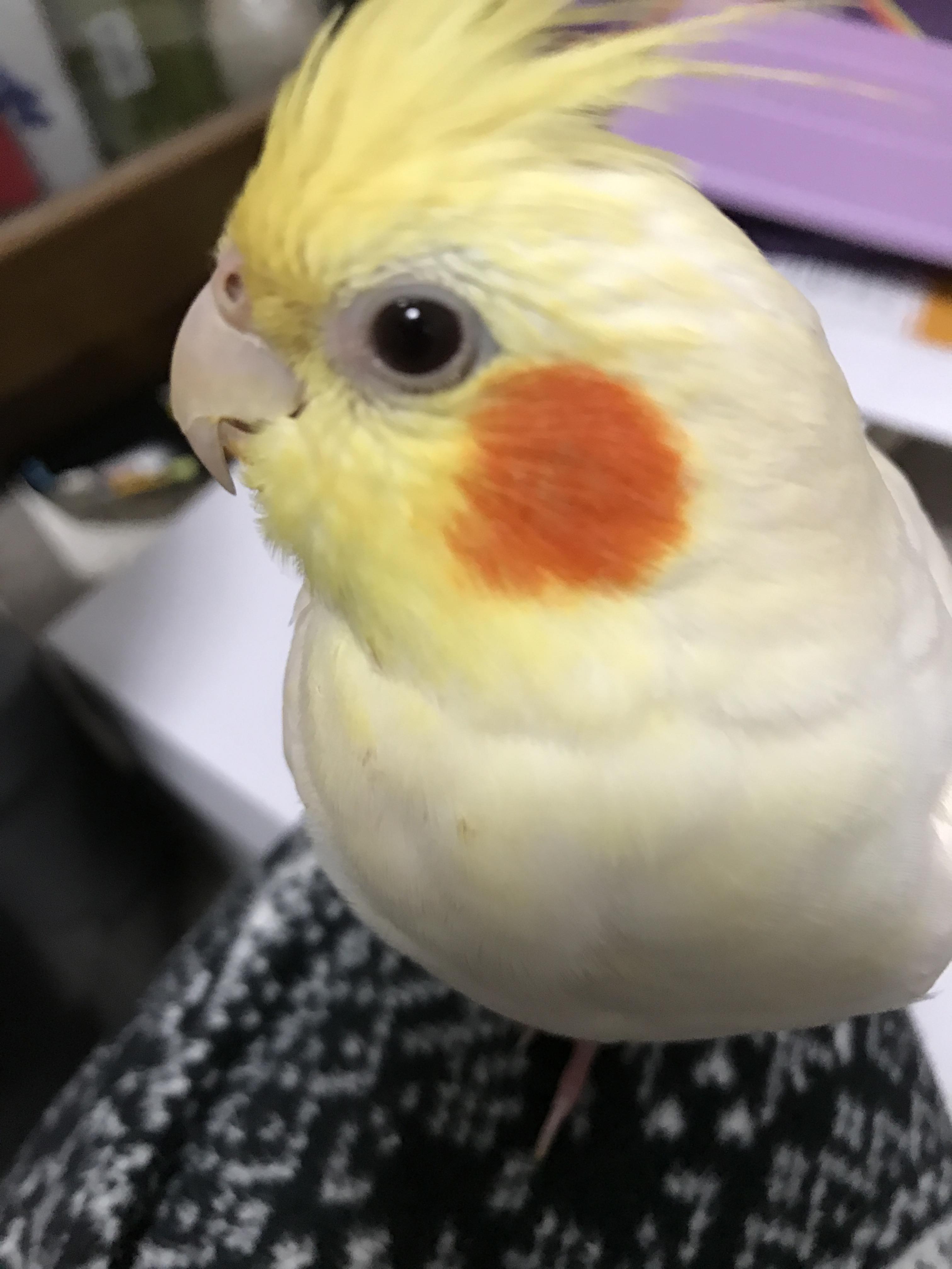 ユーザーの写真