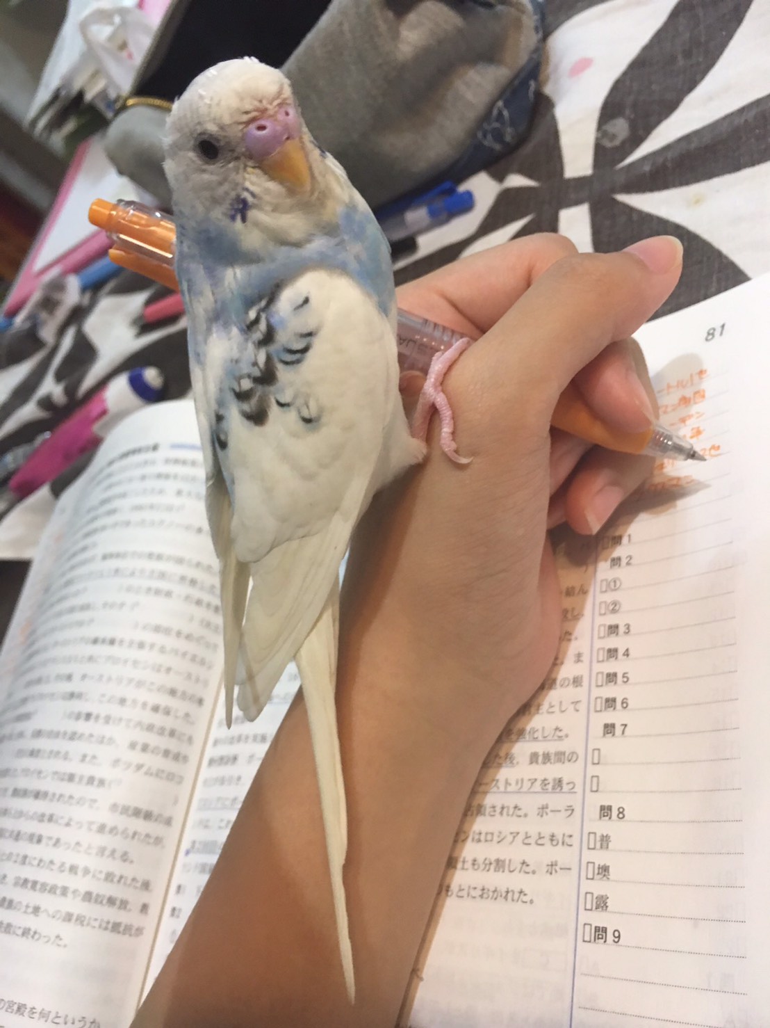 ユーザーの写真
