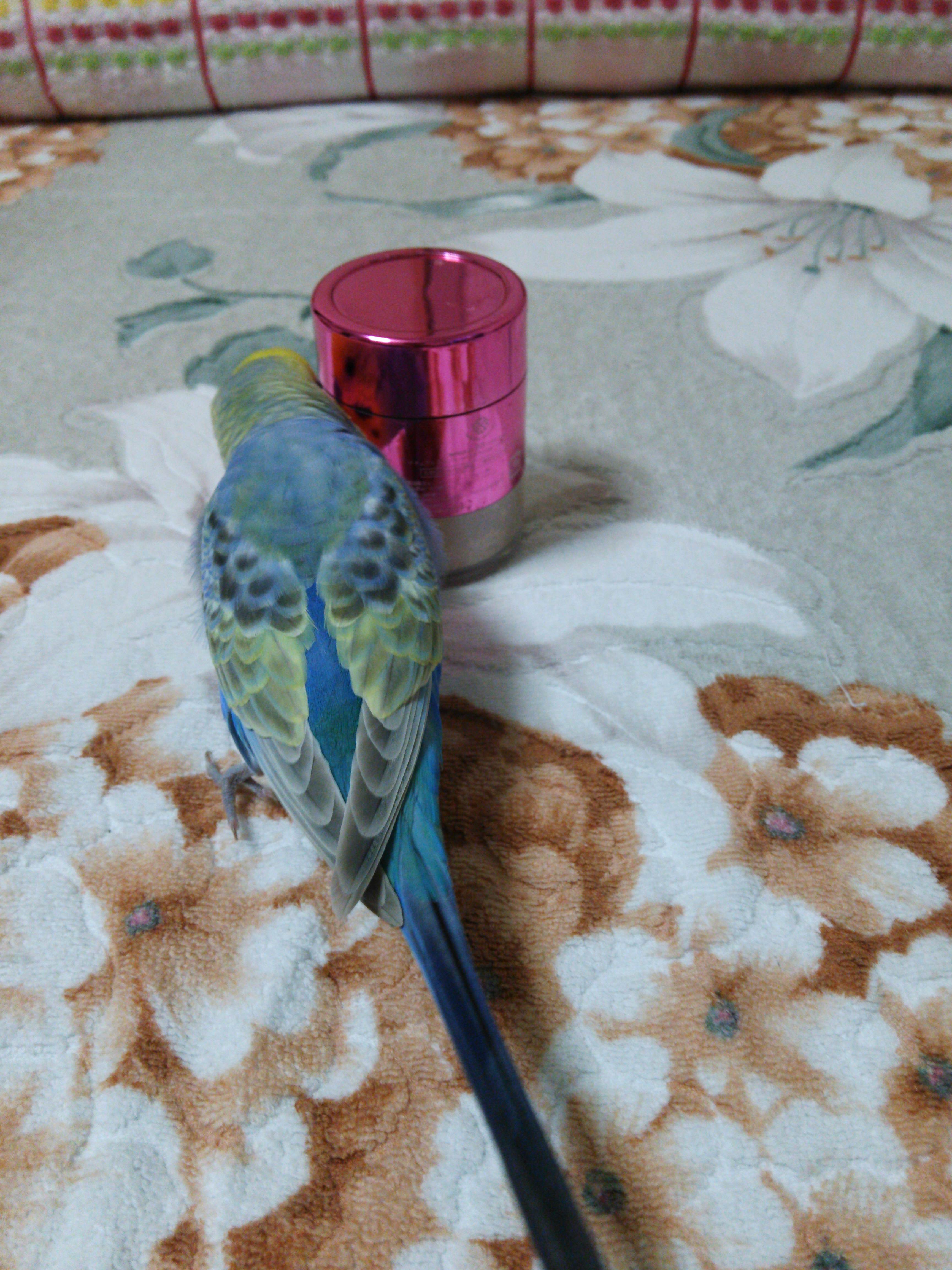 ユーザーの写真