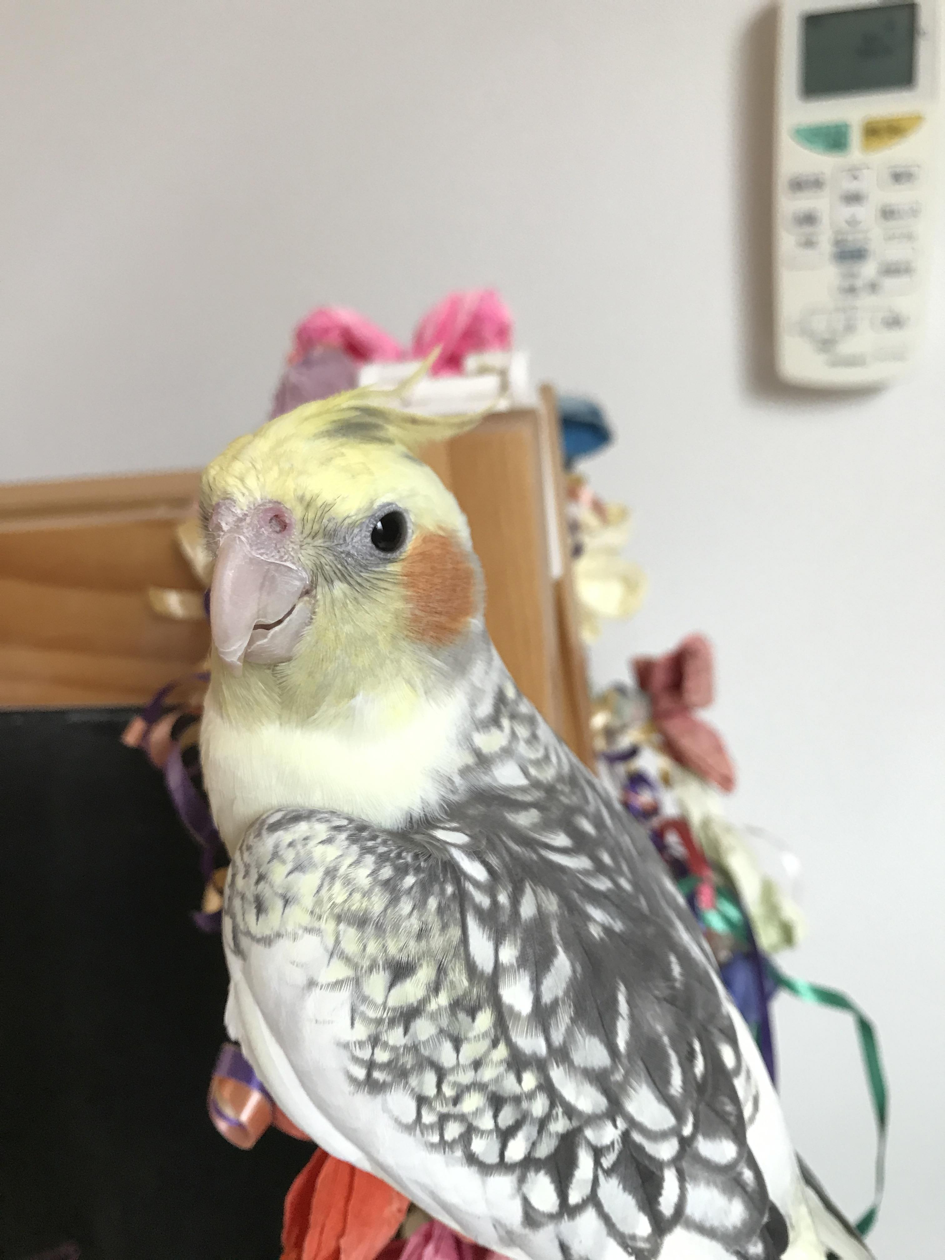 ユーザーの写真