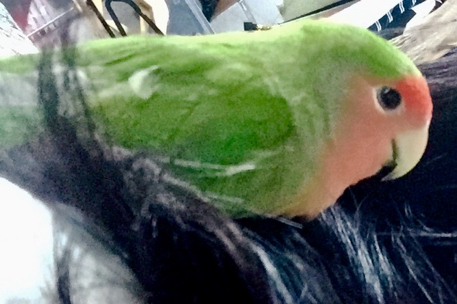 ユーザーの写真