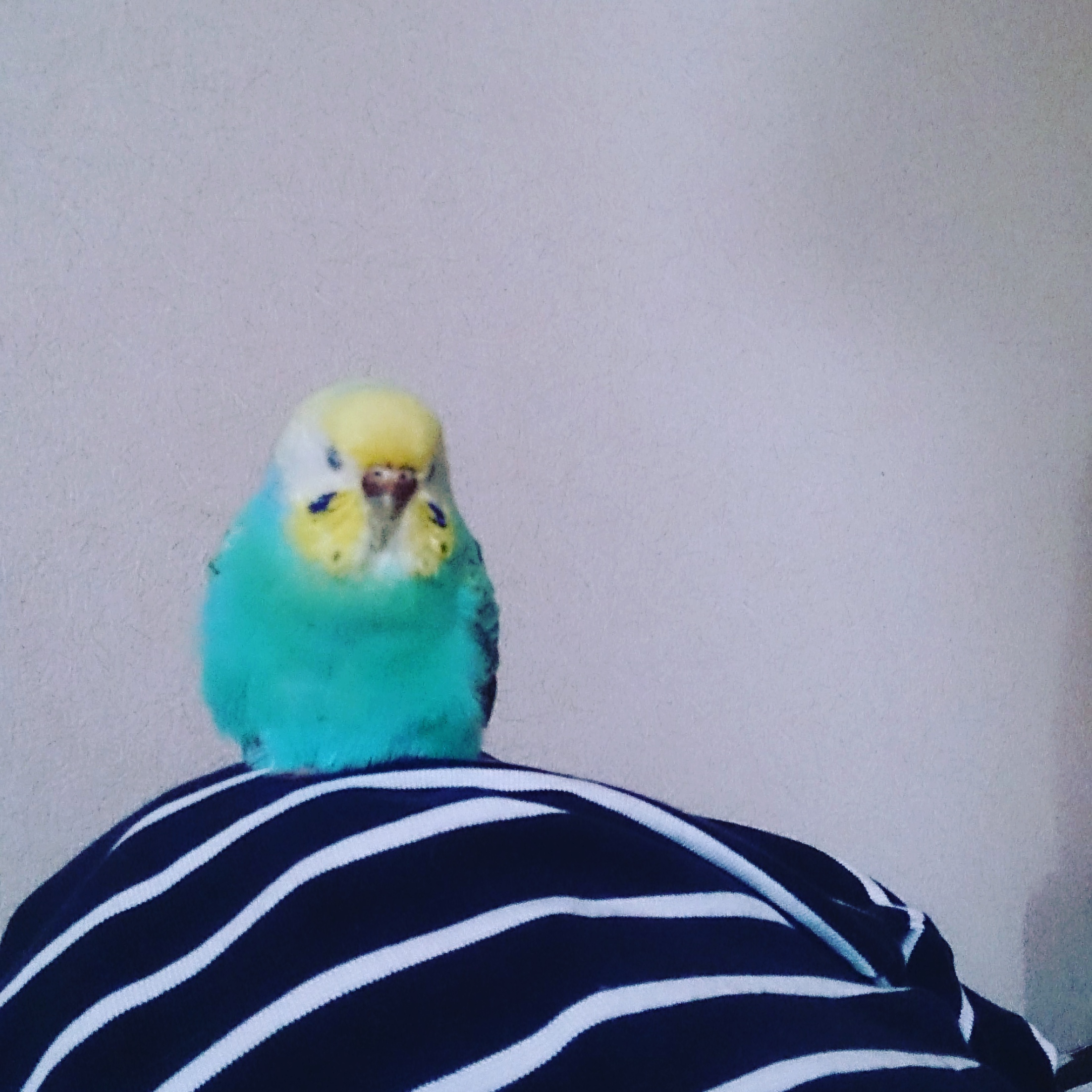 ユーザーの写真