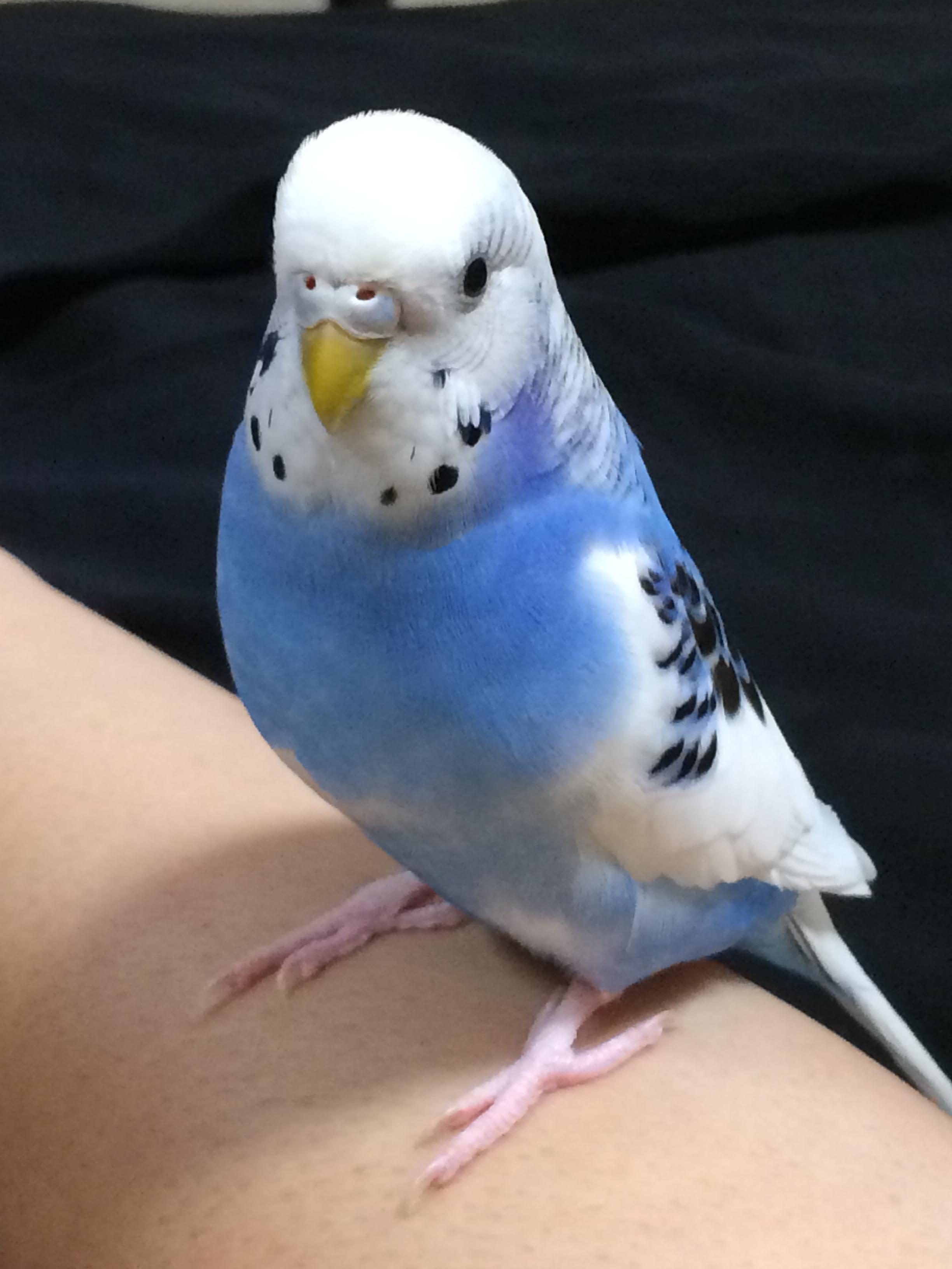 ユーザーの写真