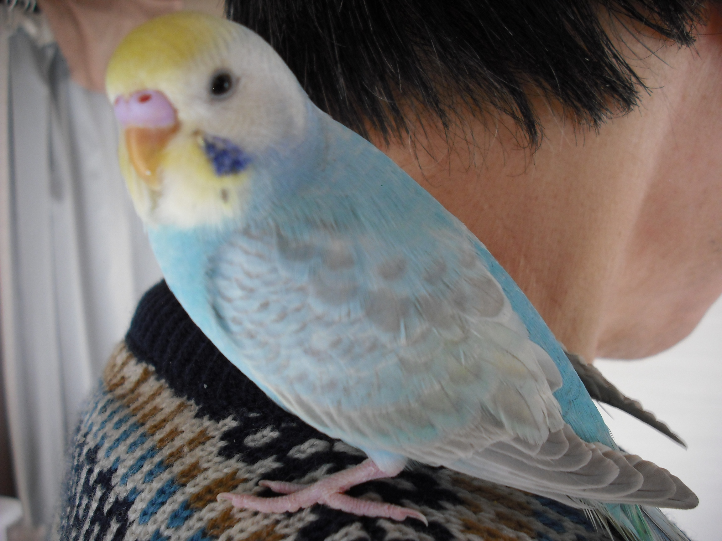 ユーザーの写真