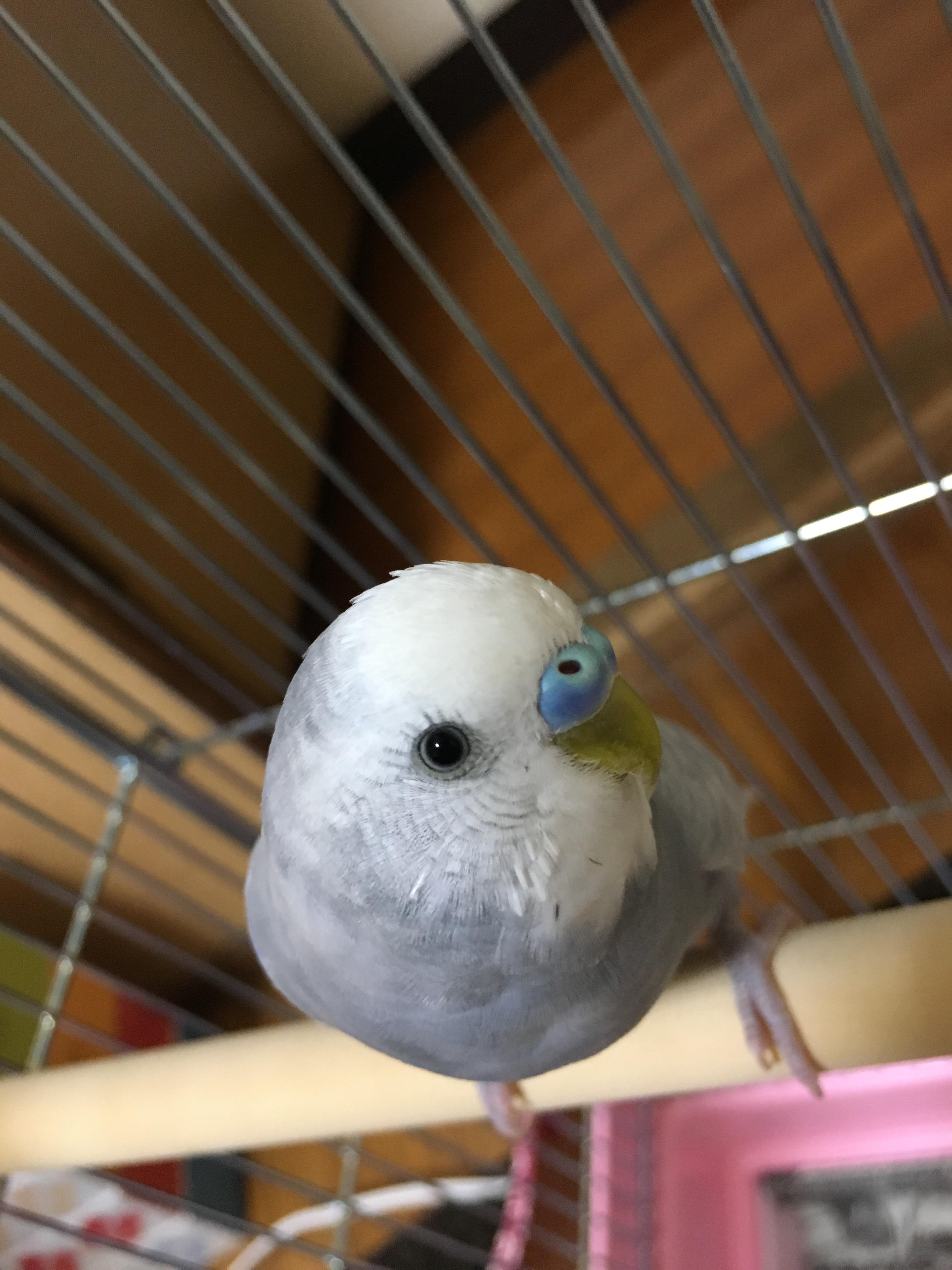 ユーザーの写真