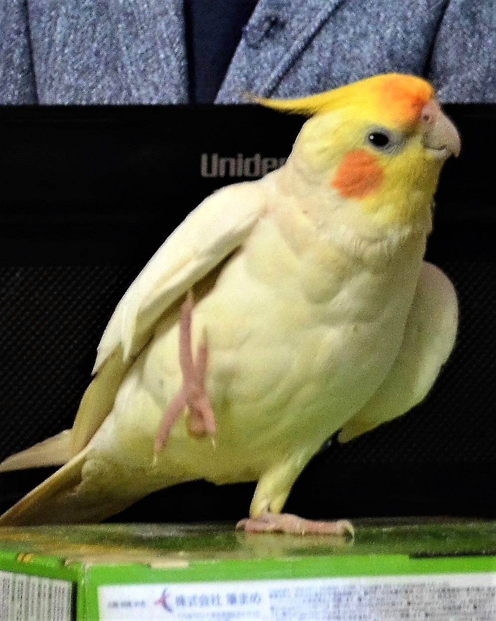 ユーザーの写真