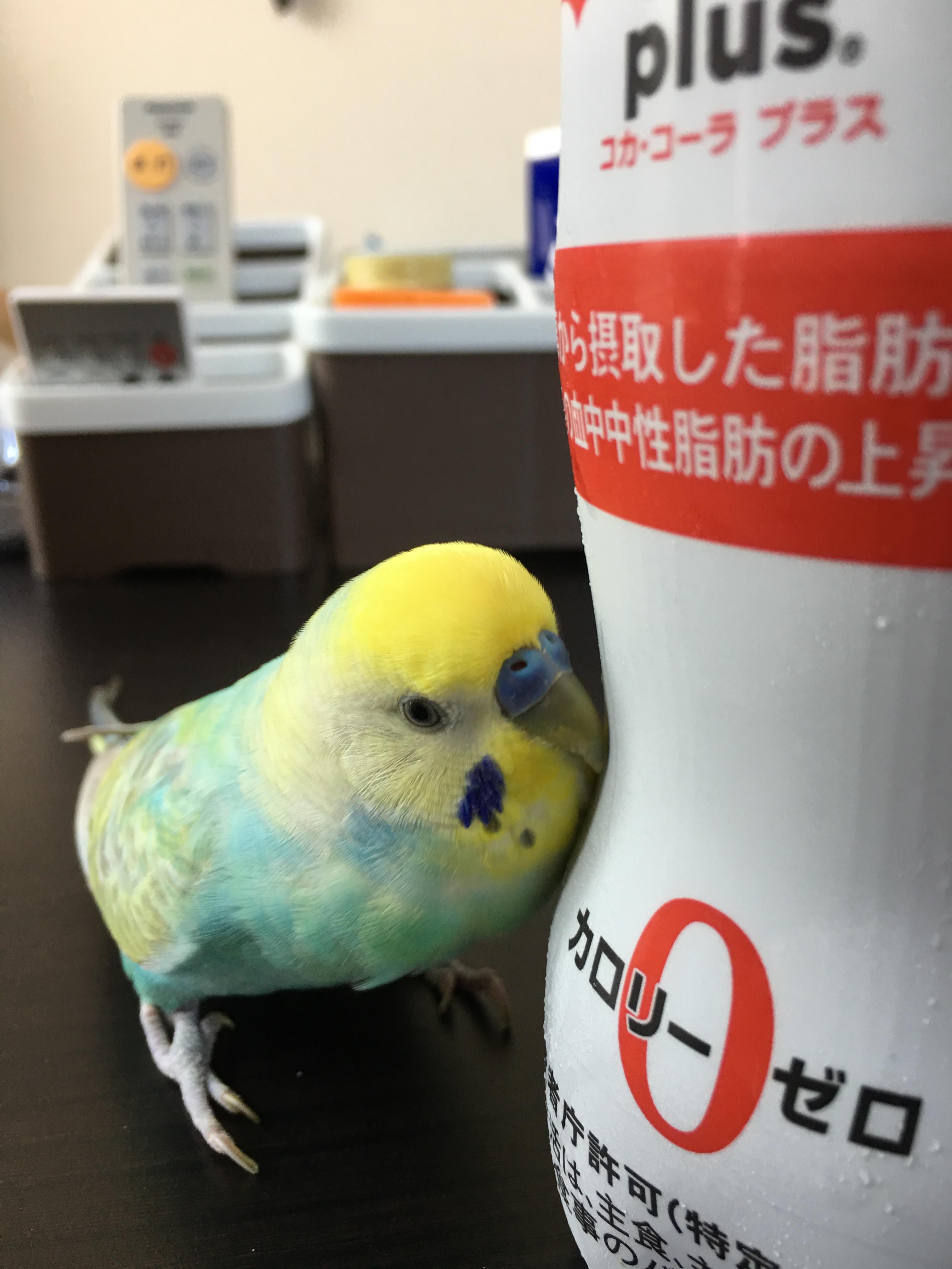 ユーザーの写真