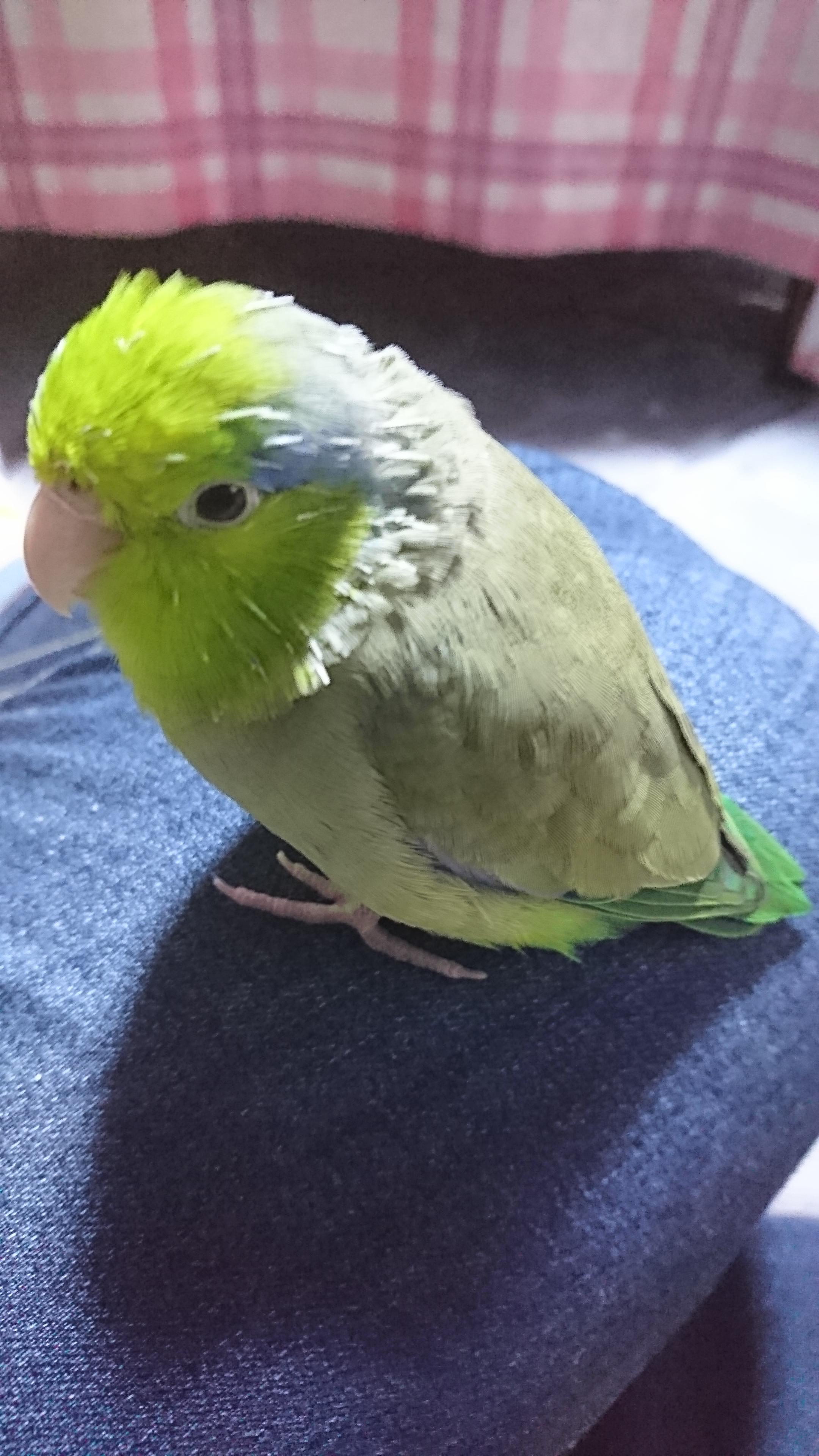 ユーザーの写真