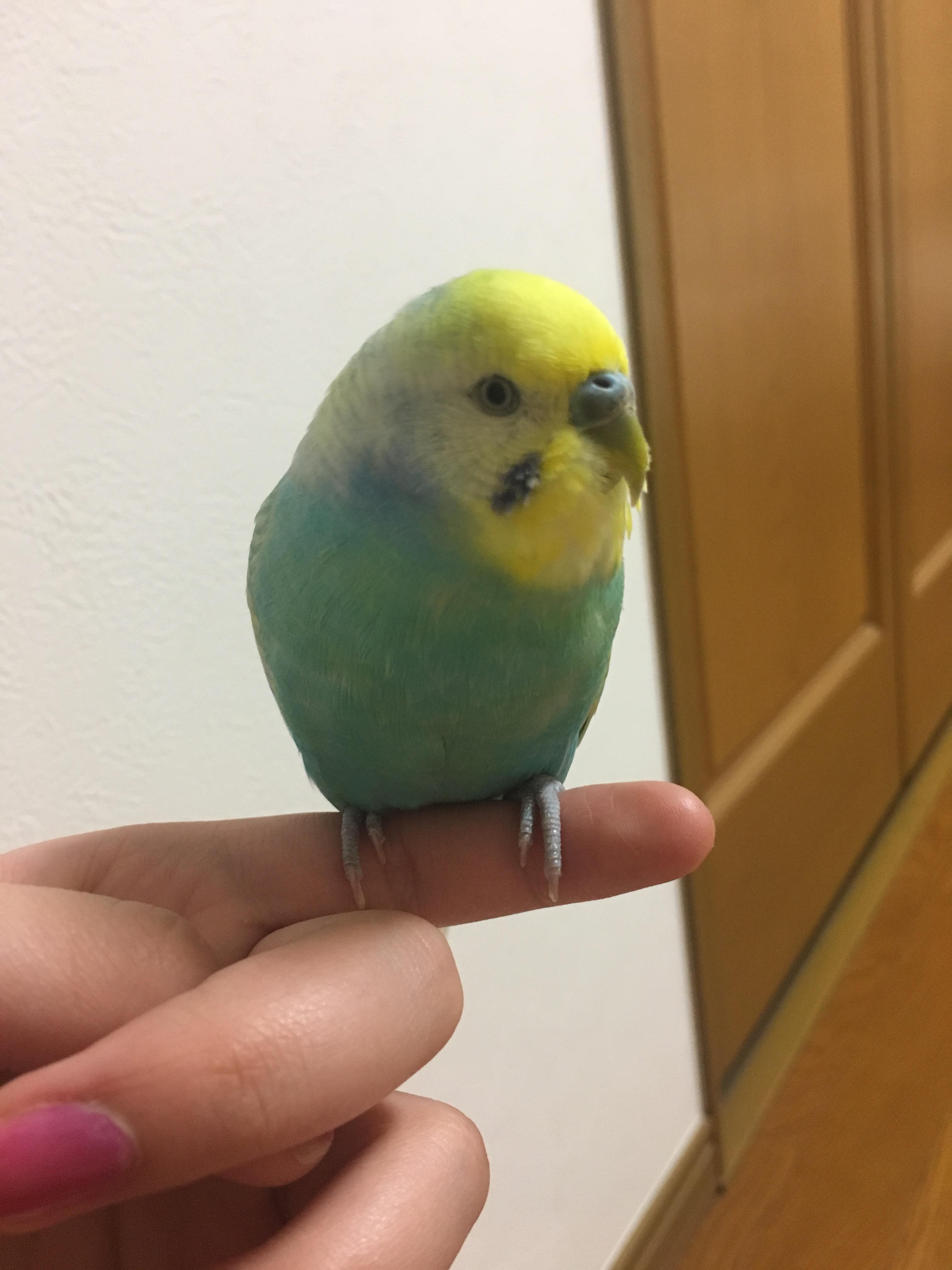 ユーザーの写真