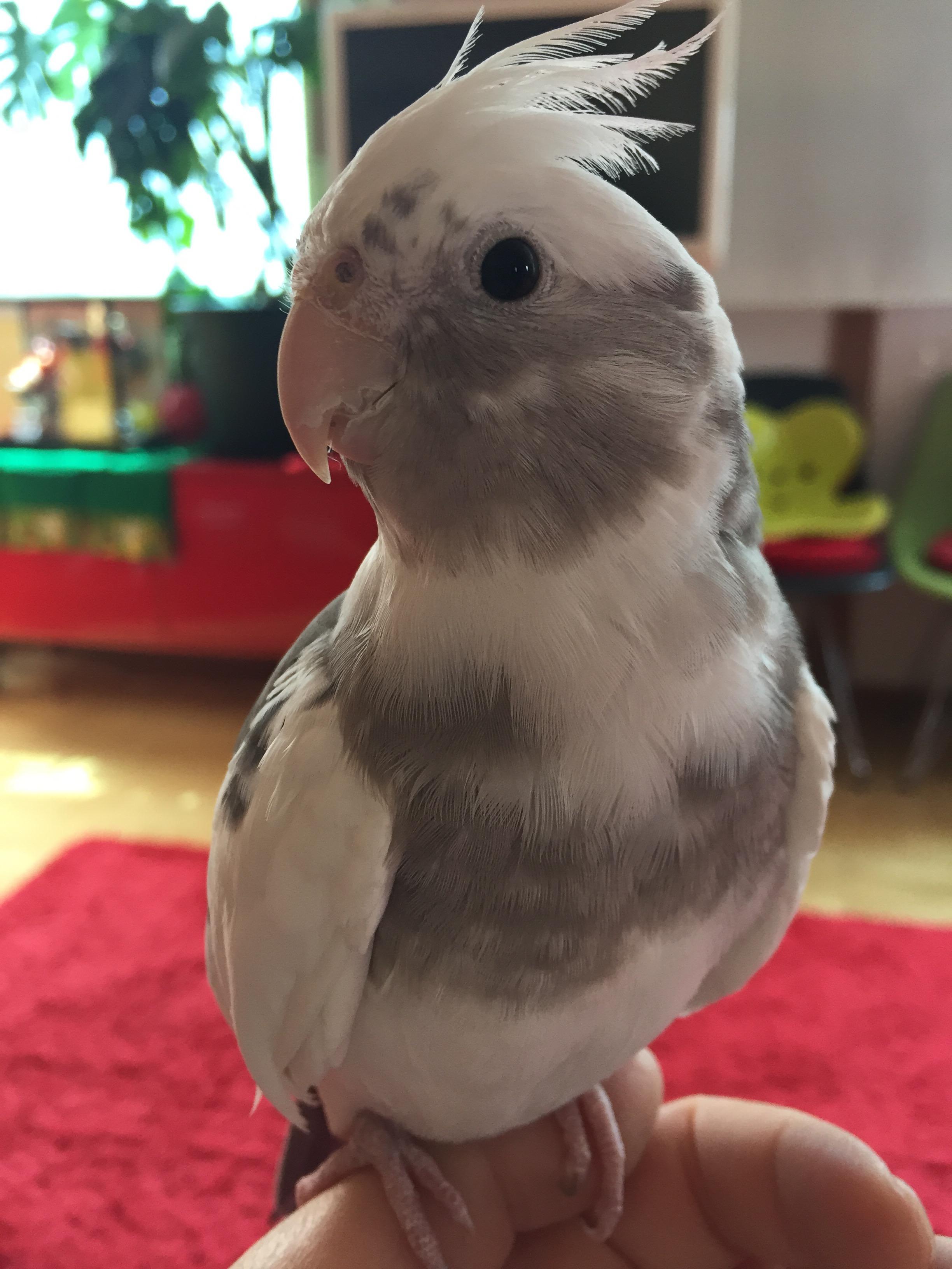 ユーザーの写真