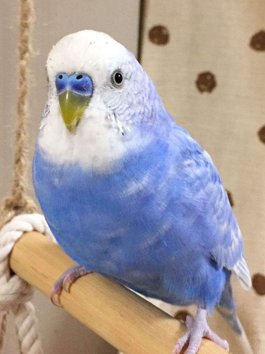 ユーザーの写真
