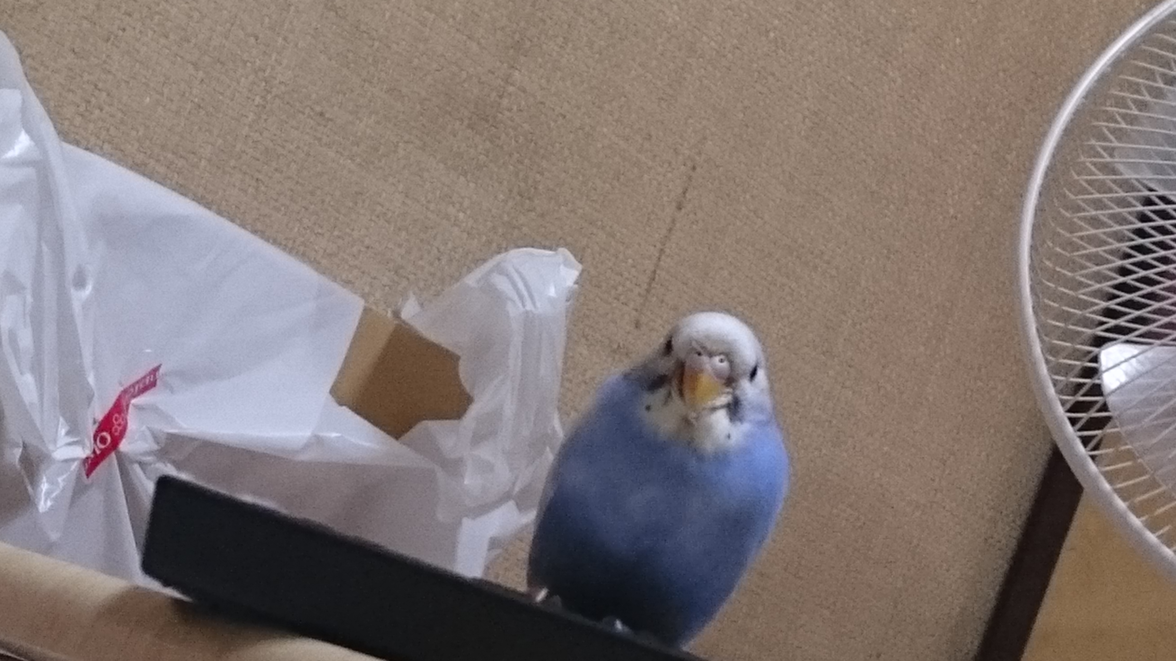 ユーザーの写真