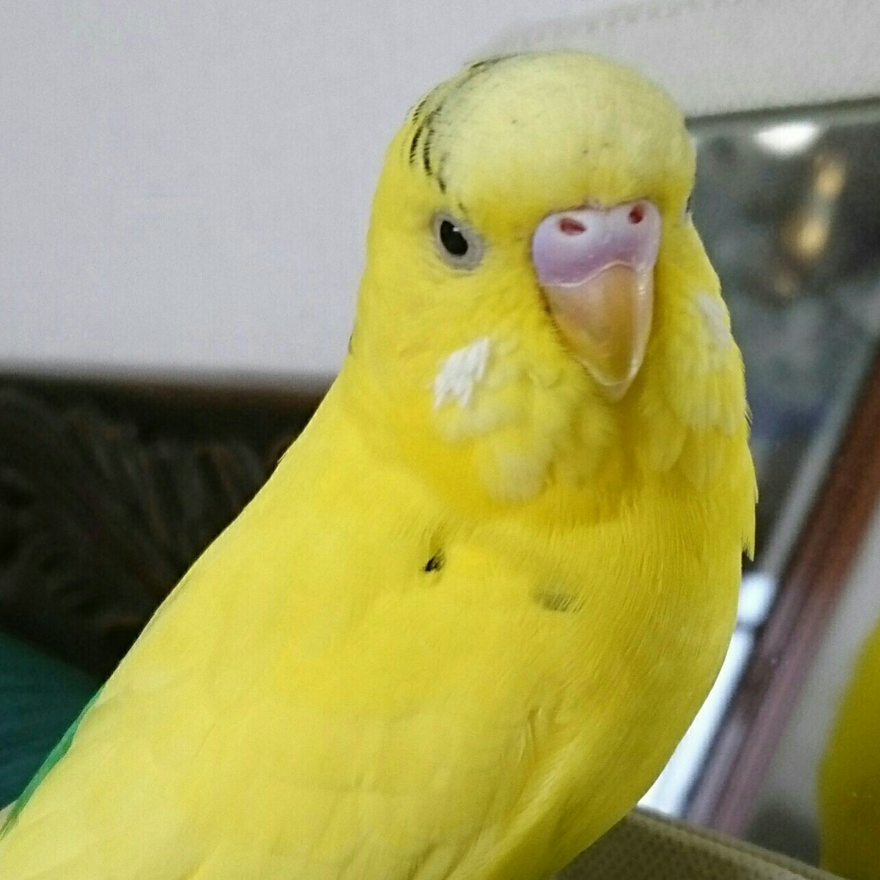 ユーザーの写真
