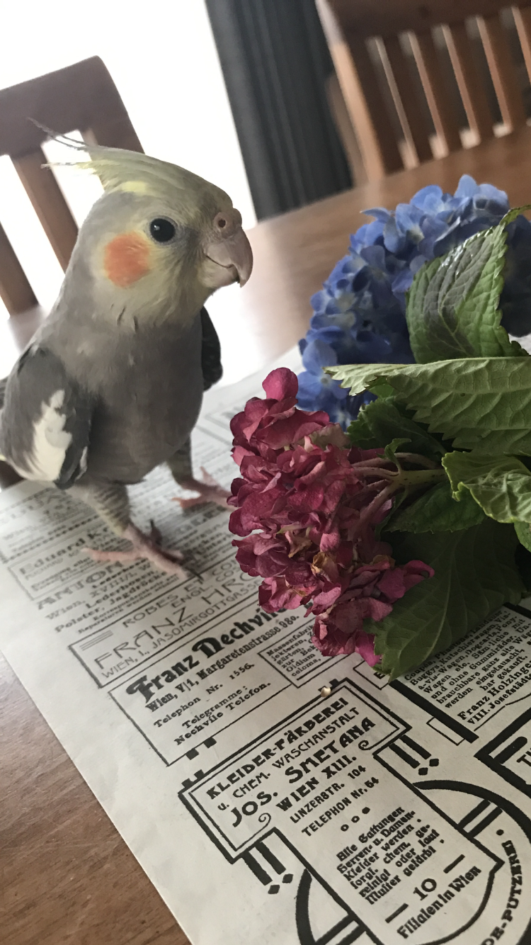 ユーザーの写真