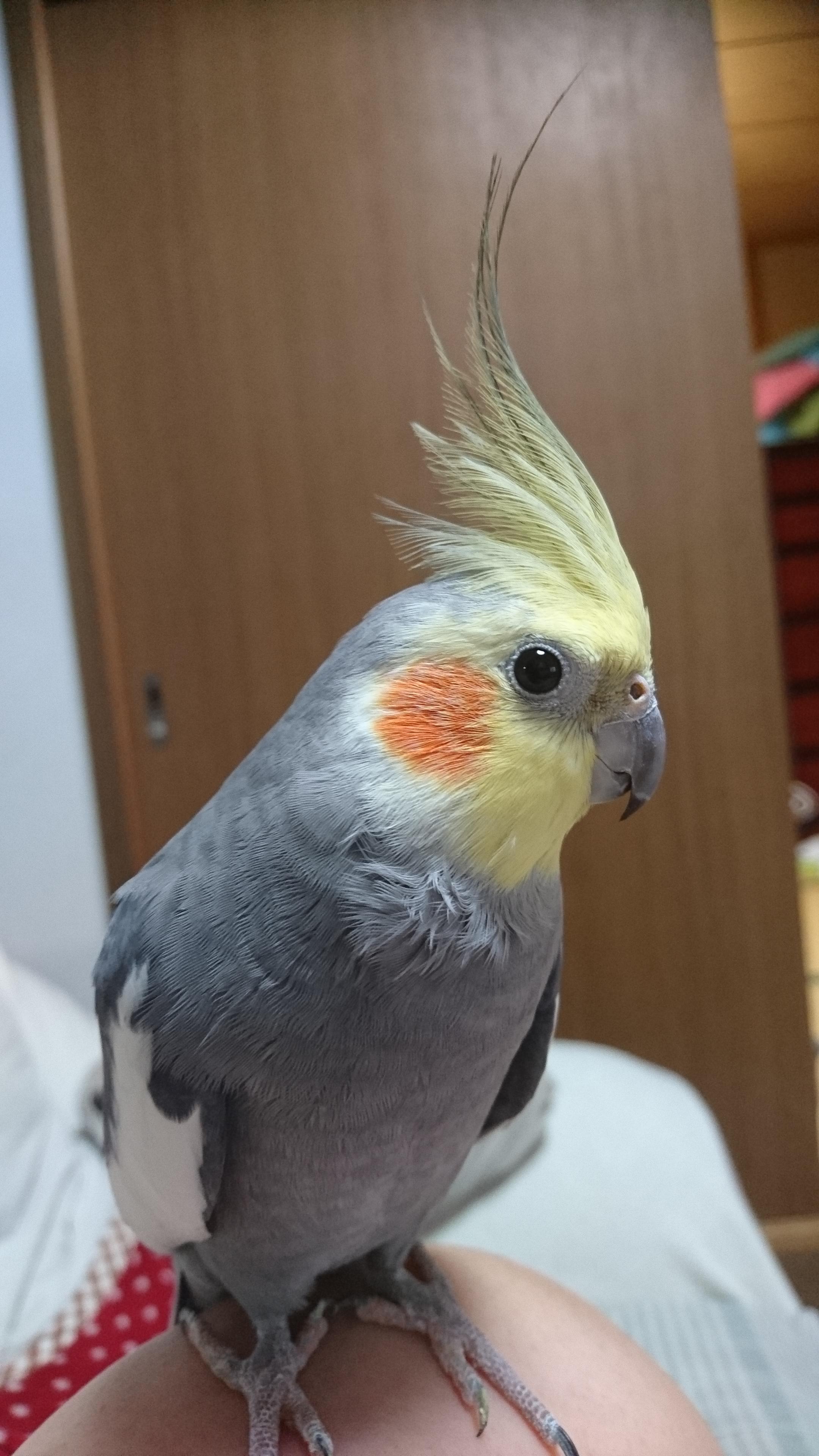 ユーザーの写真
